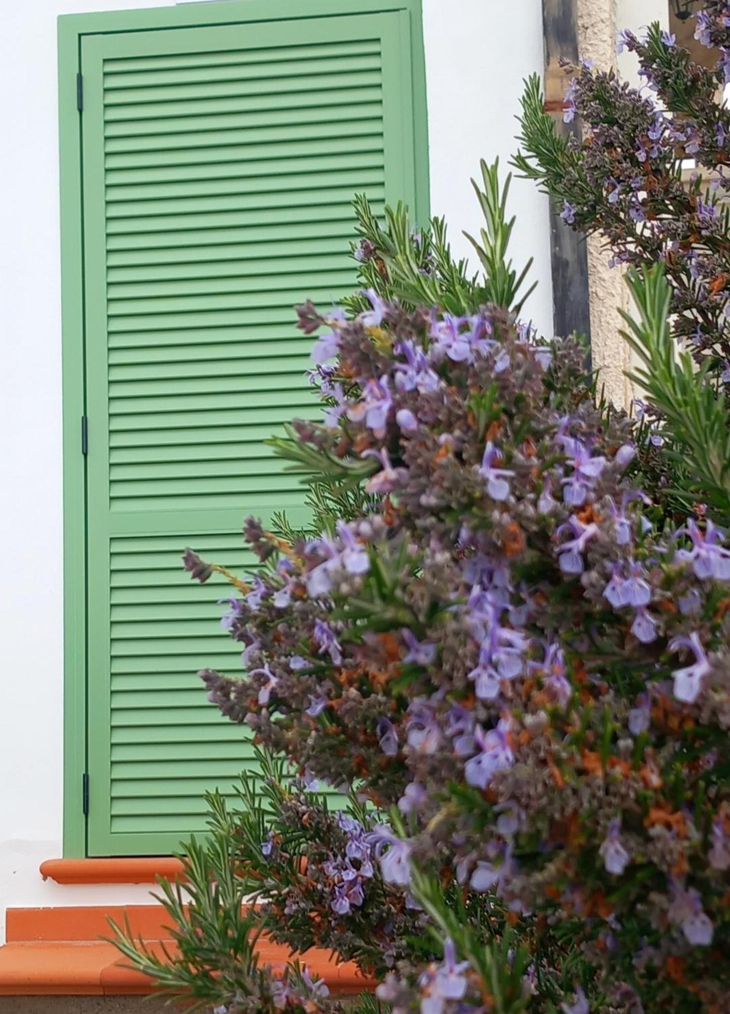 Dolci Risvegli Appartamento Vista Mare Ventimiglia Quarto foto